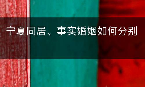 宁夏同居、事实婚姻如何分别