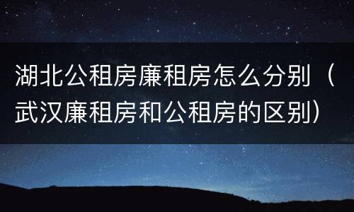 湖北公租房廉租房怎么分别（武汉廉租房和公租房的区别）