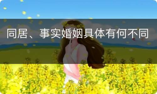 同居、事实婚姻具体有何不同