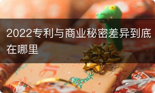 2022专利与商业秘密差异到底在哪里