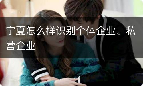 宁夏怎么样识别个体企业、私营企业