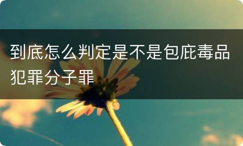 到底怎么判定是不是包庇毒品犯罪分子罪