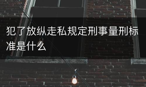 犯了放纵走私规定刑事量刑标准是什么