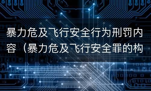 暴力危及飞行安全行为刑罚内容（暴力危及飞行安全罪的构成要件）