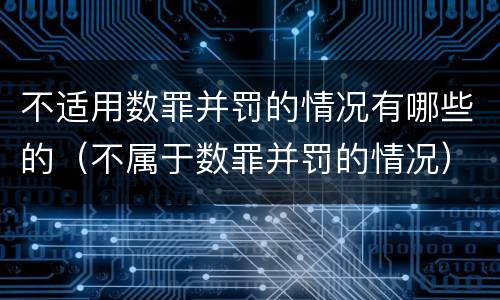 不适用数罪并罚的情况有哪些的（不属于数罪并罚的情况）