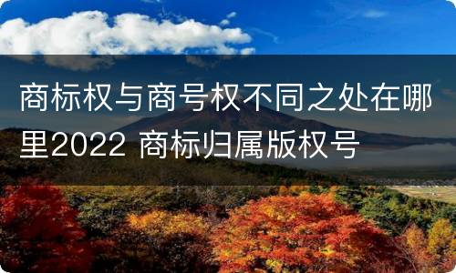 商标权与商号权不同之处在哪里2022 商标归属版权号