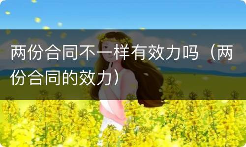 两份合同不一样有效力吗（两份合同的效力）
