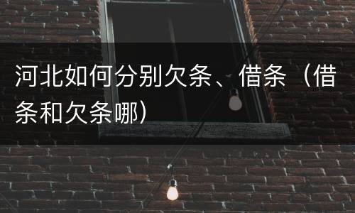 河北如何分别欠条、借条（借条和欠条哪）