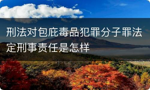 刑法对包庇毒品犯罪分子罪法定刑事责任是怎样