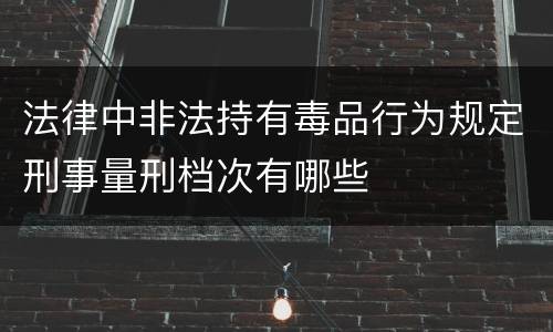 法律中非法持有毒品行为规定刑事量刑档次有哪些