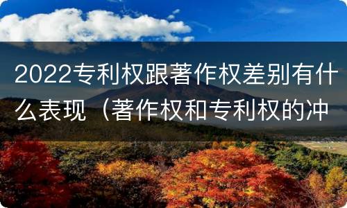 2022专利权跟著作权差别有什么表现（著作权和专利权的冲突）