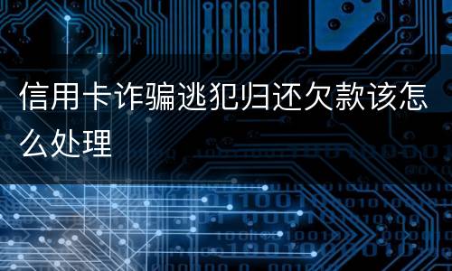 信用卡诈骗逃犯归还欠款该怎么处理