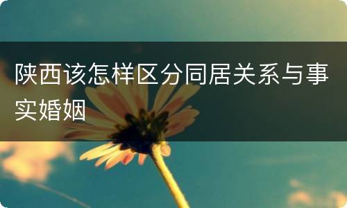 陕西该怎样区分同居关系与事实婚姻