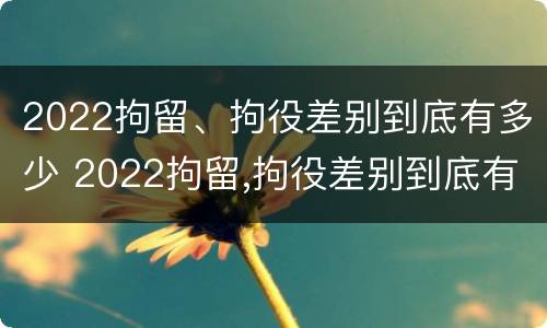 2022拘留、拘役差别到底有多少 2022拘留,拘役差别到底有多少