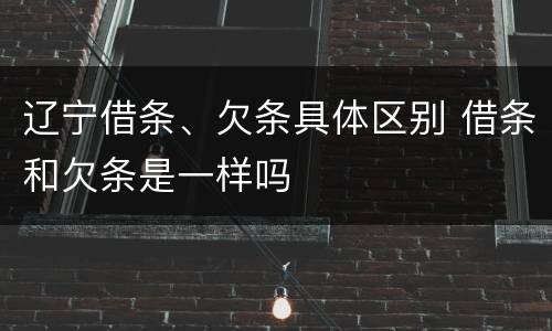 辽宁借条、欠条具体区别 借条和欠条是一样吗