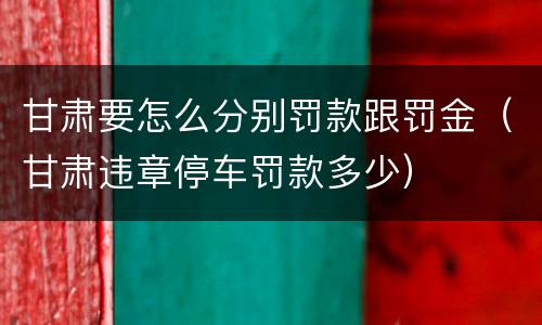 甘肃要怎么分别罚款跟罚金（甘肃违章停车罚款多少）