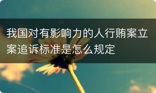 我国对有影响力的人行贿案立案追诉标准是怎么规定