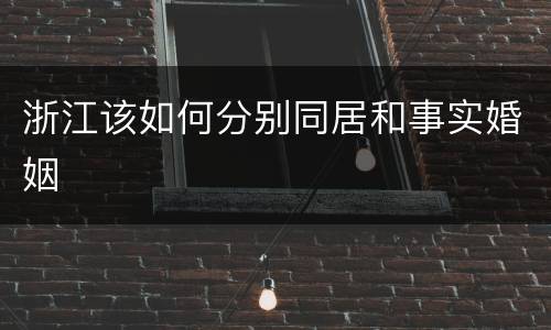 浙江该如何分别同居和事实婚姻