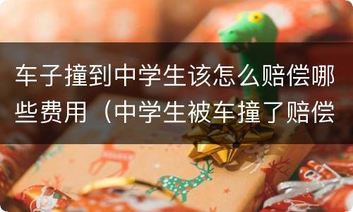 车子撞到中学生该怎么赔偿哪些费用（中学生被车撞了赔偿标准）
