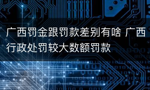 广西罚金跟罚款差别有啥 广西行政处罚较大数额罚款