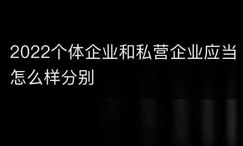 2022个体企业和私营企业应当怎么样分别
