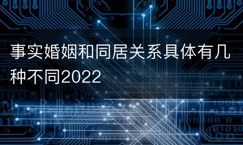 事实婚姻和同居关系具体有几种不同2022