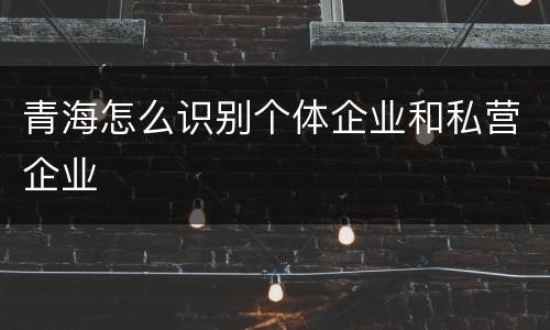 青海怎么识别个体企业和私营企业