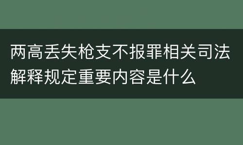 两高丢失枪支不报罪相关司法解释规定重要内容是什么