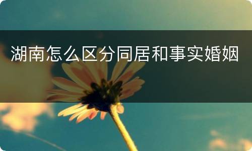 湖南怎么区分同居和事实婚姻