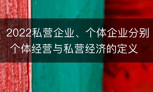 2022私营企业、个体企业分别 个体经营与私营经济的定义