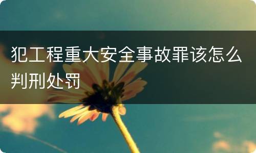 犯工程重大安全事故罪该怎么判刑处罚