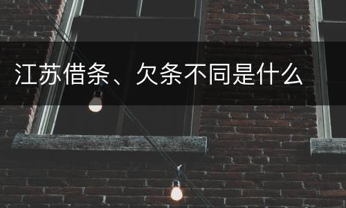 江苏借条、欠条不同是什么