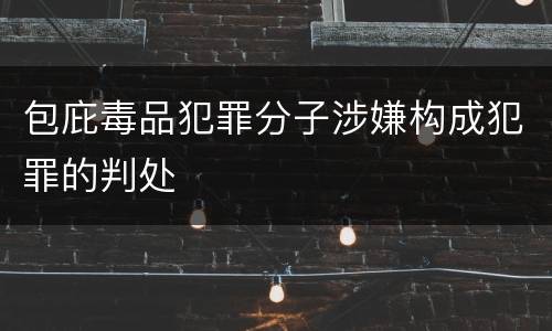 包庇毒品犯罪分子涉嫌构成犯罪的判处