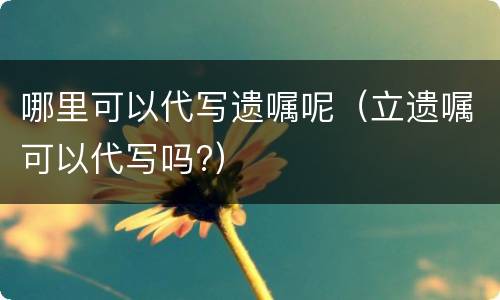 哪里可以代写遗嘱呢（立遗嘱可以代写吗?）