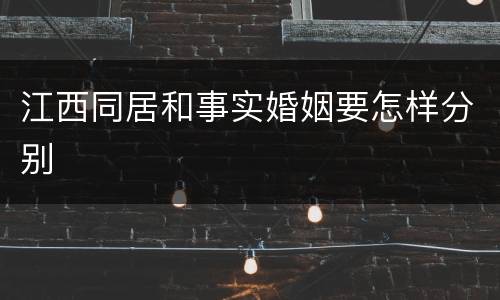 江西同居和事实婚姻要怎样分别
