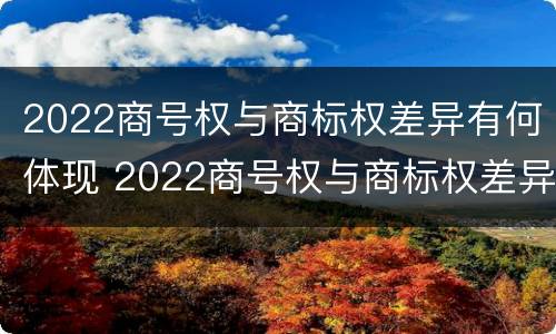 2022商号权与商标权差异有何体现 2022商号权与商标权差异有何体现呢