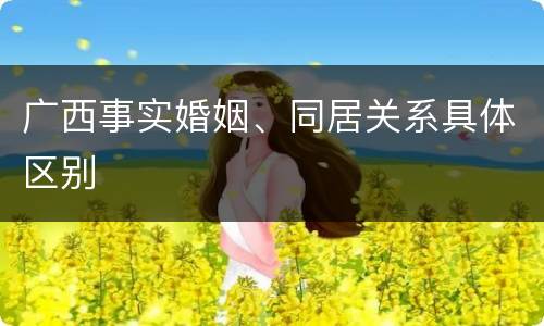 广西事实婚姻、同居关系具体区别