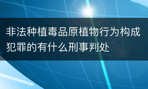 非法种植毒品原植物行为构成犯罪的有什么刑事判处