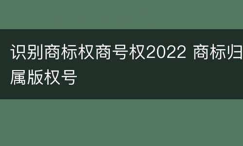 识别商标权商号权2022 商标归属版权号