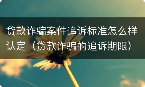 贷款诈骗案件追诉标准怎么样认定（贷款诈骗的追诉期限）