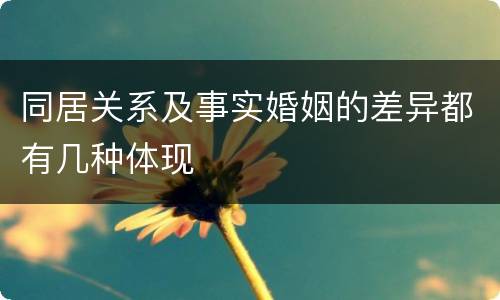 同居关系及事实婚姻的差异都有几种体现