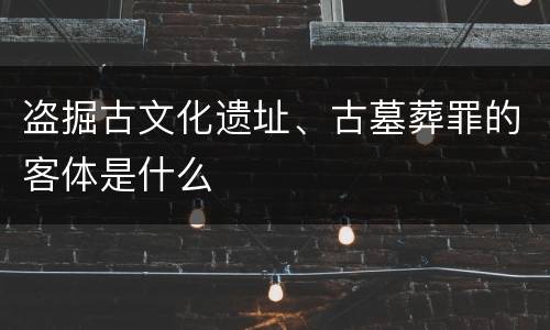 盗掘古文化遗址、古墓葬罪的客体是什么
