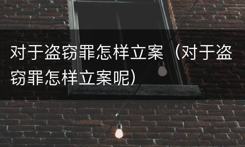 对于盗窃罪怎样立案（对于盗窃罪怎样立案呢）