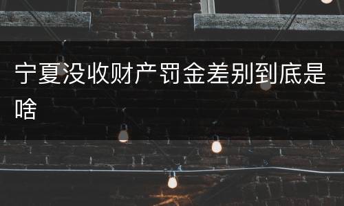 宁夏没收财产罚金差别到底是啥