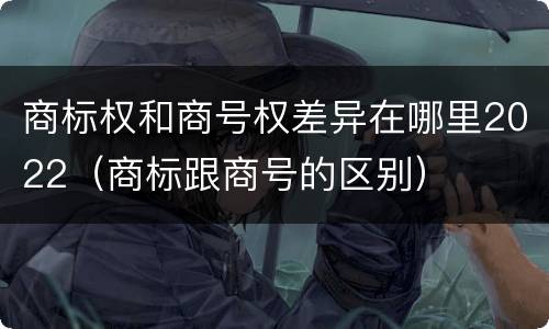 商标权和商号权差异在哪里2022（商标跟商号的区别）