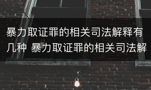 暴力取证罪的相关司法解释有几种 暴力取证罪的相关司法解释有几种形式