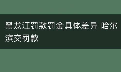 黑龙江罚款罚金具体差异 哈尔滨交罚款