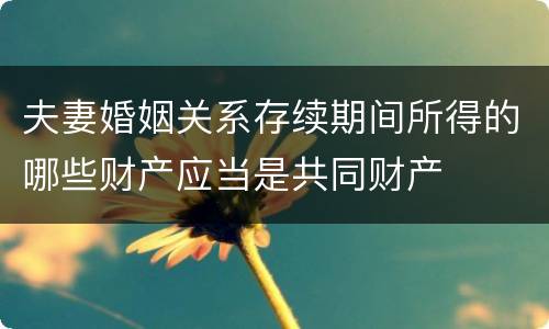 夫妻婚姻关系存续期间所得的哪些财产应当是共同财产