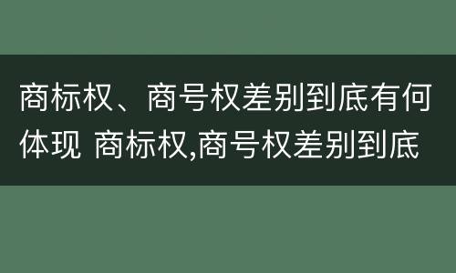 商标权、商号权差别到底有何体现 商标权,商号权差别到底有何体现和影响