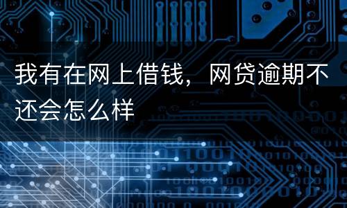 我有在网上借钱，网贷逾期不还会怎么样